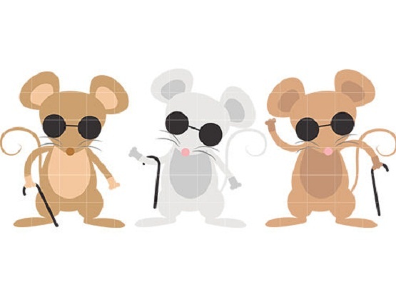 The Story of Three Mice
