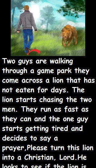The lion starts chasing the two men 