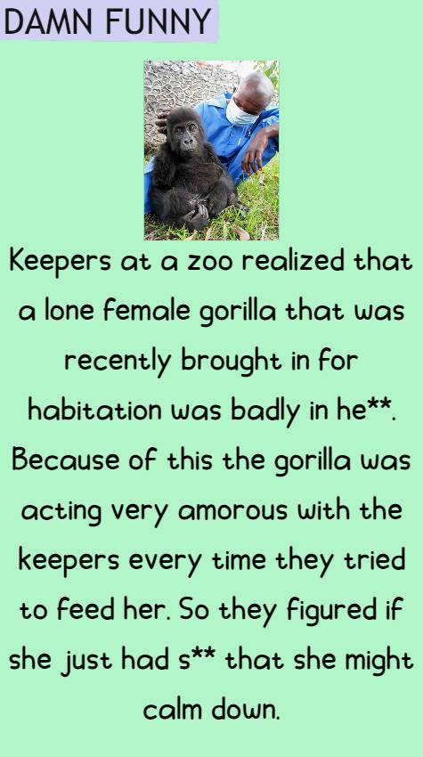 Keepers at a zoo realized that a lone