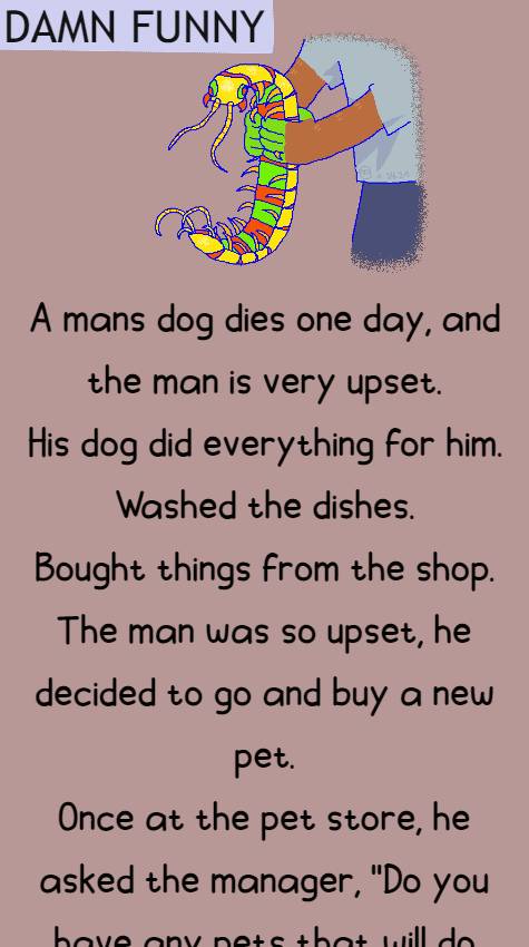 A mans dog dies one day and the