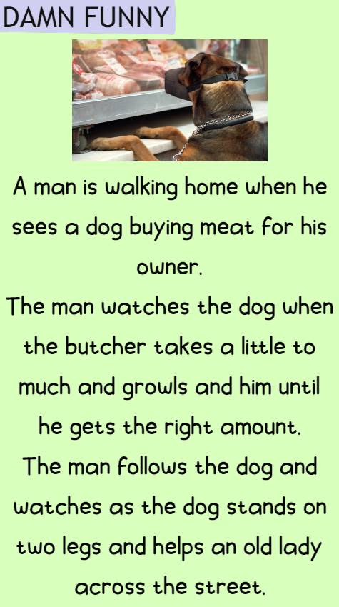 A man is walking home when he sees a dog