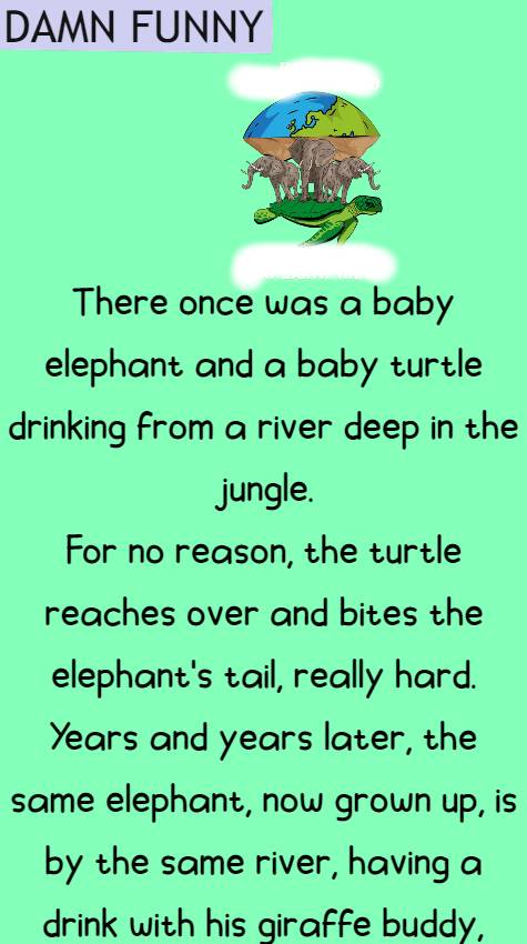 There once was a baby elephant 