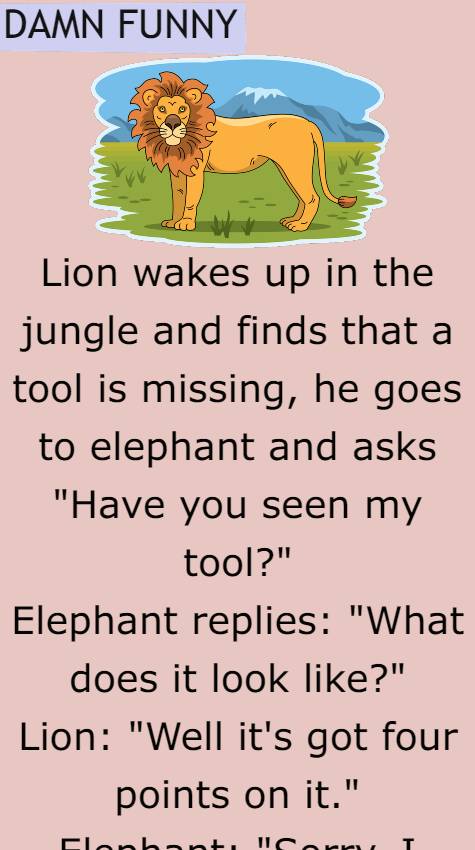 Lion wakes up in the jungle and finds