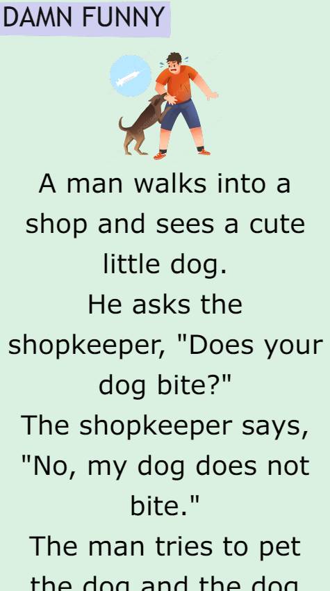 A man walks into a shop and sees a cute little dog