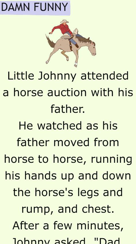 Johnny attended a horse auction