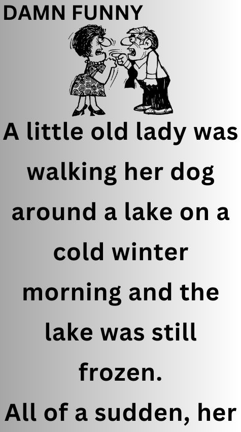 A little old lady was walking her dog
