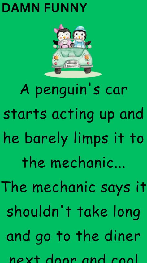 A penguins car starts acting