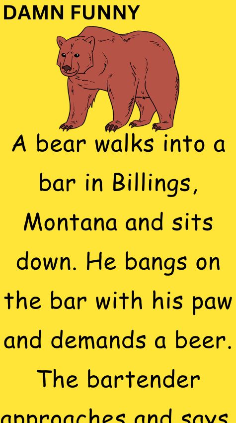 A bear walks into a bar