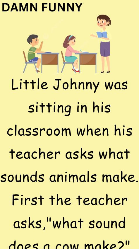 Teacher asks what sound a pig makes