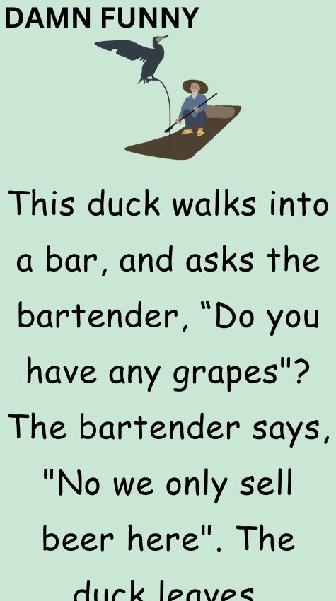 This duck walks into a bar