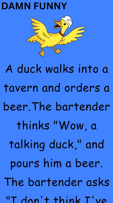 A duck walks into a tavern