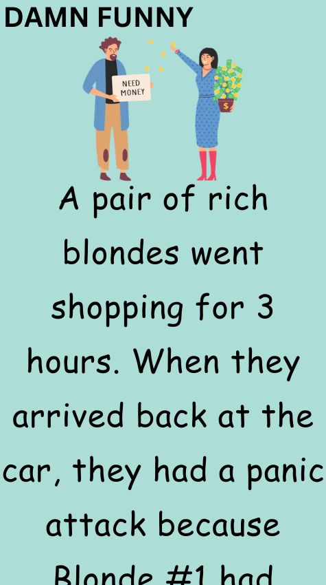 A pair of rich blondes went shopping