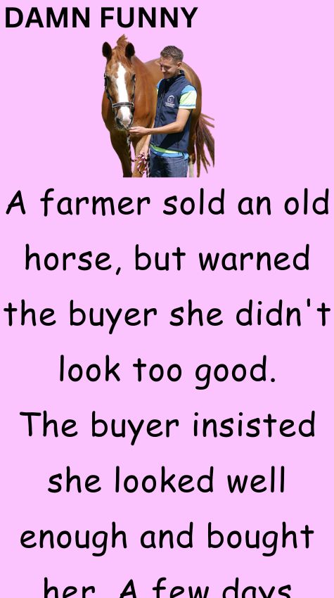 A farmer sold an old horse