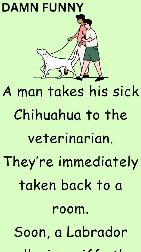 A man takes his sick Chihuahua to the veterinarian