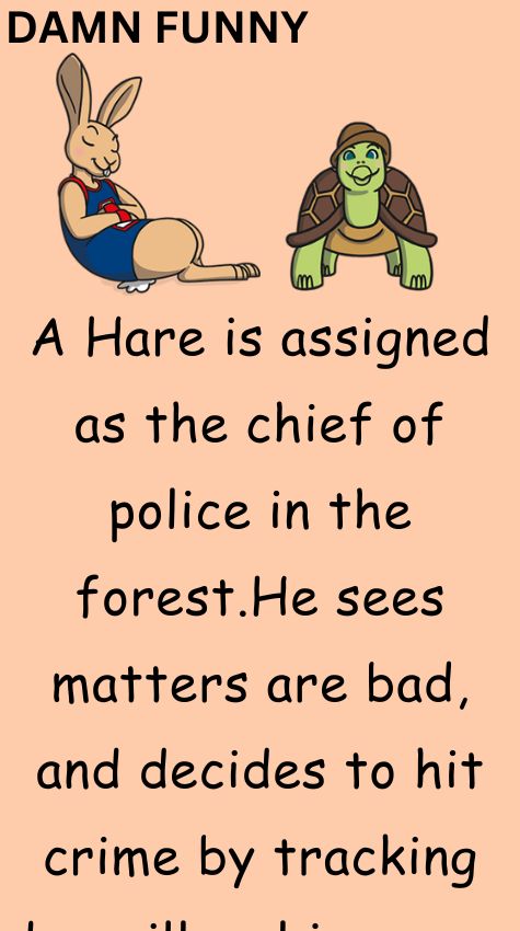 A Hare is assigned as the chief of police