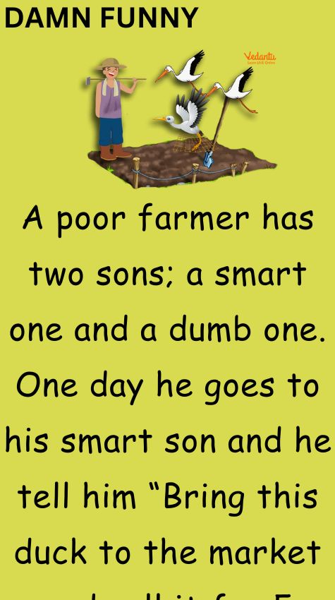 A poor farmer has two sons