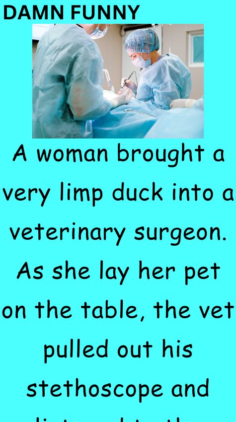 A woman brought a very limp duck into a veterinary surgeon
