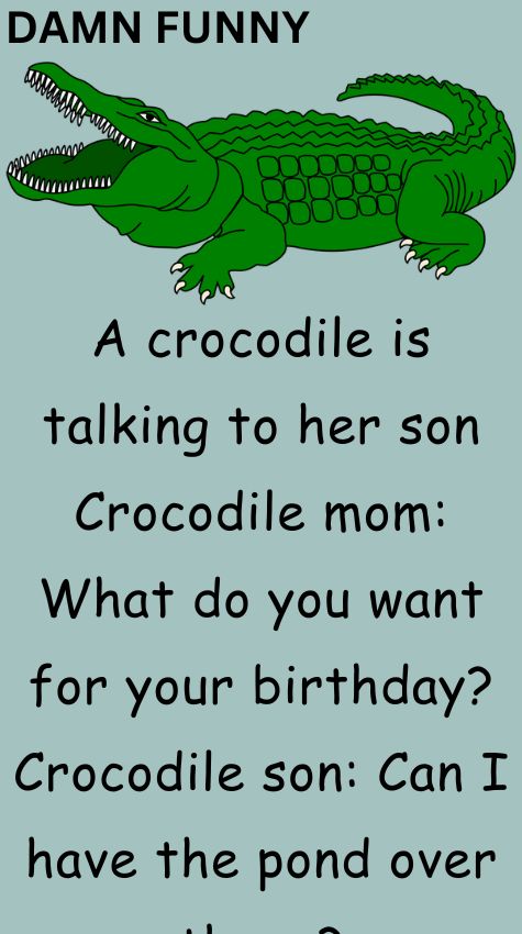 A crocodile is talking to her son