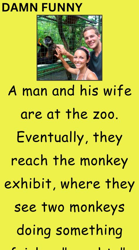 A man and his wife are at the zoo