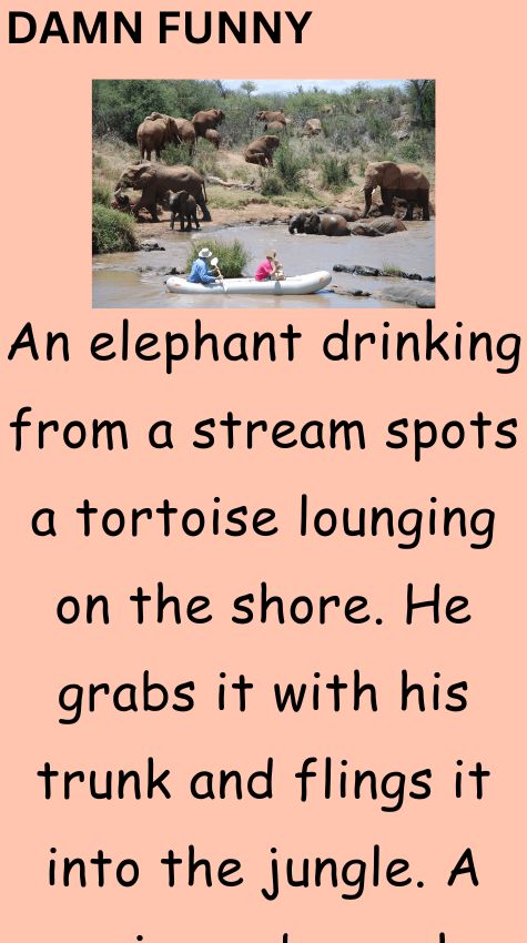 An elephant drinking from a stream spots