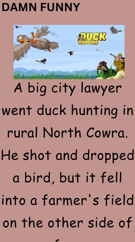 A big city lawyer went duck hunting