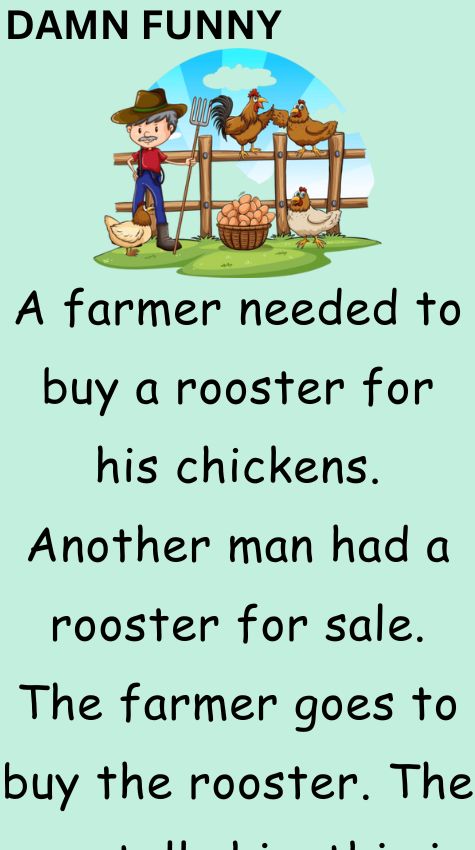 A farmer needed to buy a rooster for his chickens