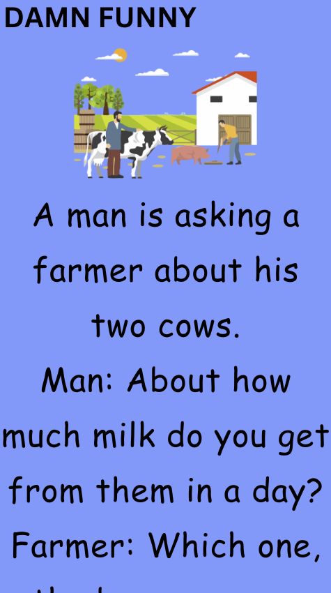 A man is asking a farmer about his two cows