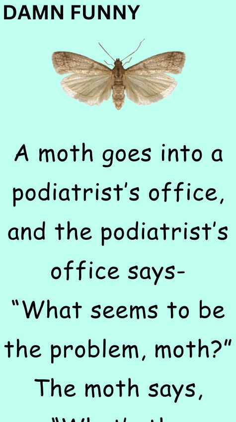 A moth goes into a podiatrists office