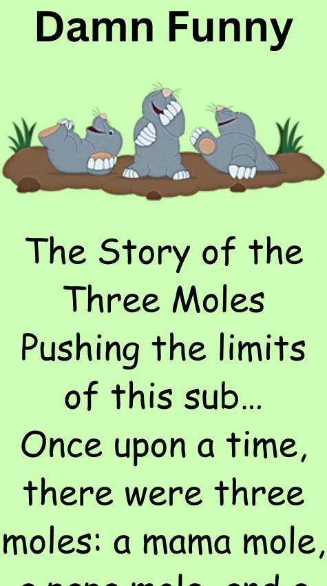 The Story of the Three Moles