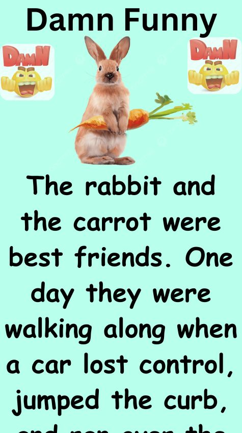 The rabbit and the carrot were best friends