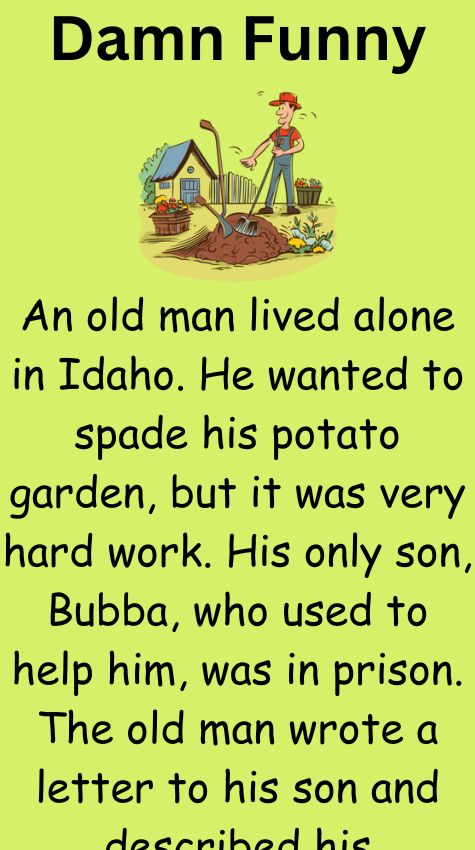 Hard Job in Potato Garden