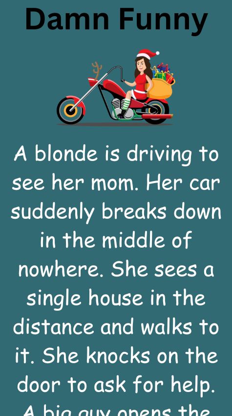 A blonde is driving to see her mom - funny jokes