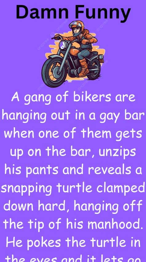 A gang of bikers are hanging out