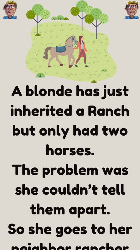 A blonde has just inherited a Ranch