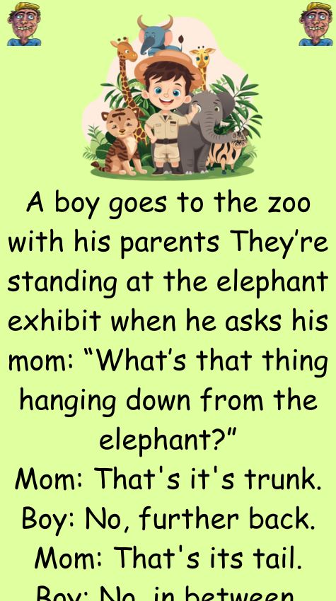 A boy goes to the zoo with his parents