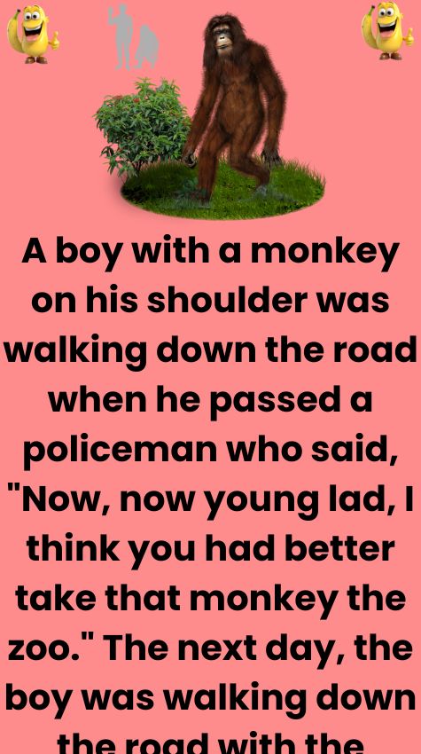 A boy with a monkey on his shoulder