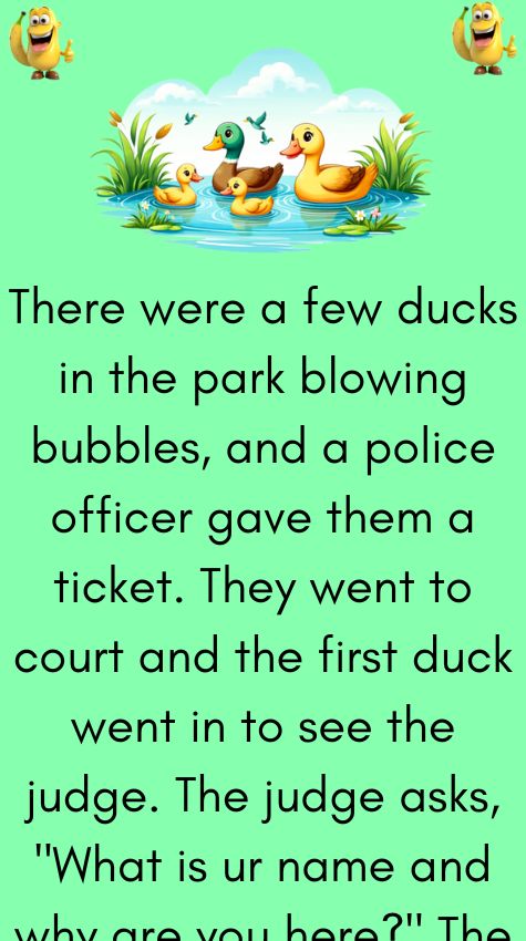 There were a few ducks in the park